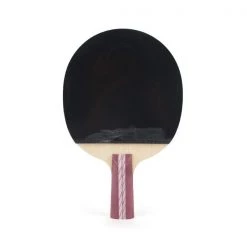 DHS - Table Tennis Racket 4 Stars (4006)