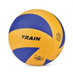 Team Sports TRAIN - Pu Volleyball