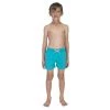 Tom&Teddy TOM & TEDDY - Boy's Shorts (Solid Pool Blue) Other Sports