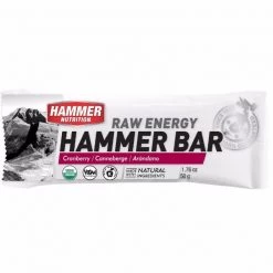 Nutrition/Hydration HAMMER - Raw Energy Bar