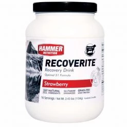 HAMMER - Recoverite (Glutamine - Fortified Recovery Drink) 24 HAMMER - Recoverite (Glutamine - Fortified Recovery Drink)